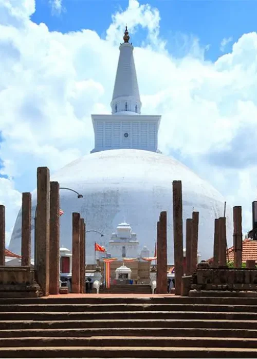 15254287963_8305d2428f_b